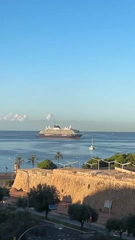 A large cruise ship is sailing on a calm, blue ocean under a clear sky. In the foreground, there is a historic stone wall with palm trees and lush green trees. A small sailboat is also visible in the water behind the cruise ship. The sun is casting shadows on the wall and trees, suggesting it is either early morning or late afternoon.
