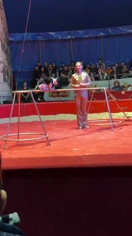 In a medium shot, a woman in a sparkling gold suit is standing on a red-covered stage. She's performing in a circus ring under a large blue tent. There's a crowd of people watching her from behind a low barrier. In front of the woman is a low, rectangular platform supported by two metal structures resembling sawhorses with circular bases. A small animal, possibly a cat or a small dog, is performing tricks on the platform. The woman is looking at the animal and gesturing as if giving it instructions. The lighting is bright, illuminating the stage and the audience. The overall atmosphere is cheerful and entertaining.