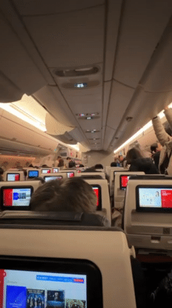 JAL passenger documents aircraft cabin at New Chitose Airport