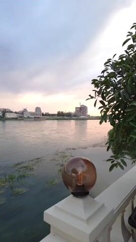 The video shows a view from a balcony or railing overlooking a body of water. A globe-shaped light fixture with an Edison-style bulb is in the foreground, to the right. The water appears somewhat murky with green aquatic plants growing in it. In the distance, across the water, there are several buildings, one of which appears to be under construction. Trees and vegetation are visible along the far bank and on the right side of the frame. The sky is overcast with soft light, suggesting either dawn or dusk. There are no people visible in the video.