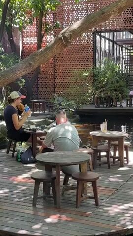 The video shows an outdoor seating area of a cafe with a pond. Two people are seated at a table on the left, one of whom is drinking from a bottle. Another person is seated at a table in the foreground, facing away from the camera. Several other tables and chairs are visible. The pond contains numerous koi fish. A tree trunk extends across the top of the frame. In the background, there is a building with a patterned screen and a staircase. Lush greenery surrounds the seating area and the pond. The ground is a wooden deck.