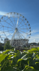 Afternoon at Sirius Park theme park in Russia