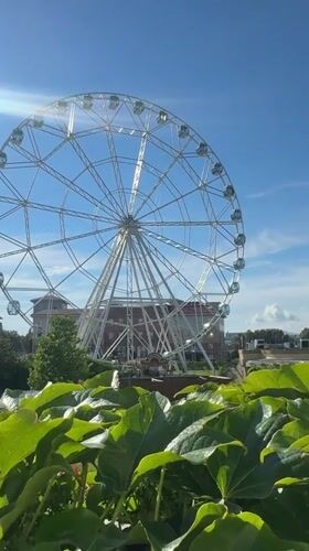 Afternoon at Sirius Park theme park in Russia