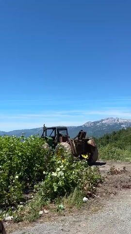 A rusty green tractor with a loader attachment sits abandoned in a field of overgrown green bushes and dry, brown grass. The tractor is positioned on a dirt path, with its front loader facing towards the right side of the frame. In the background, a lush green forest is visible, followed by a mountain range with rocky peaks under a clear blue sky. The sun is shining brightly, indicating it is daytime.