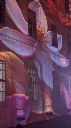 Floral light projections illuminate Vienna courtyard during evening dining