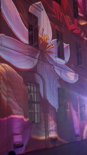 Floral light projections illuminate Vienna courtyard during evening dining