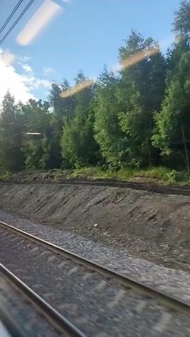 The video shows a view from inside a moving train. Train tracks are visible in the foreground. To the right of the tracks is a sloped embankment with dirt and rocks. Beyond the embankment is a dense forest of green trees under a bright blue sky with some clouds. The sun is shining, creating some glare on the window through which the video is filmed, and some of the trees appear to have white bark, possibly birch trees. There are power lines visible above the trees. The video is short and shows a continuous view of the passing scenery.