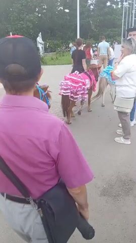 The video captures a street scene with several people and two miniature horses. In the foreground, a person wearing a pink shirt and gray pants walks away from the camera, with a black bag slung over their shoulder and a black umbrella tucked into their waistband. Behind them, a miniature horse with a pink frilly skirt is led by a person, and another miniature horse, adorned with purple and blue decorations, is also visible. People are observing the horses and walking around. The environment appears to be an outdoor public space, possibly a park or a street fair, with trees and buildings in the background. Some people are dressed casually, while others, like the person in a red jacket and red pants, are dressed more formally. The lighting suggests it is daytime.