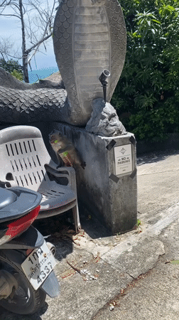 Monkey tries opening plastic bottle on dragon statue Thailand