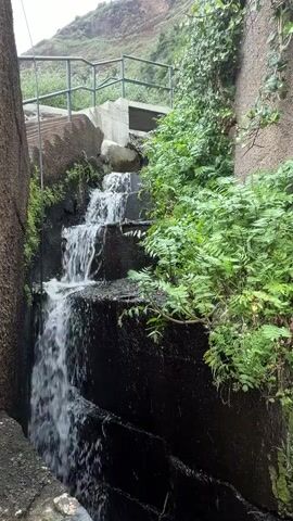 The video captures a serene outdoor scene featuring a series of small, cascading waterfalls. Water flows steadily down several concrete or stone steps, creating white foam and splashes. Lush green vegetation, including ferns and ivy-like plants, adorns the stone walls on either side of the waterfalls, adding to the natural aesthetic.

In the background, a metal railing is visible above the cascades, suggesting a walkway or bridge. Beyond this, a large hill or mountain, covered in some vegetation, rises against a bright, overcast sky. The lighting is soft and diffuse, indicating daytime with cloudy weather.

The primary activity is the continuous flow of water, producing a constant, soothing sound. No people are present, and there is no visible text in the scene. The overall impression is one of tranquility in a semi-natural environment, potentially part of a managed water system in a hilly region like Calheta, Portugal.