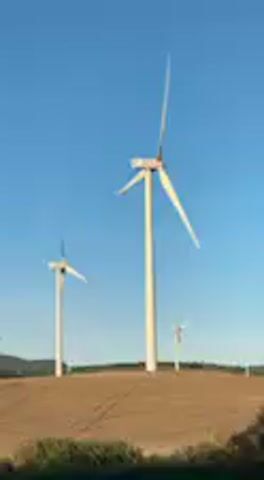 The video shows a moving shot of a wind farm in a rural landscape, likely in Paterna de Rivera, Spain. Several tall, white wind turbines with three blades are visible against a clear, bright blue sky. The camera appears to be in a vehicle, moving past the wind farm. The foreground consists of dry, brown fields, possibly agricultural, with some faint track lines. A triangular road sign is briefly visible in the bottom right corner at the beginning, though its specific meaning and text are not discernible. As the camera moves, a patch of green foliage temporarily obstructs the view of the field and some distant turbines. The blades of the wind turbines appear to be rotating slowly or are stationary, depending on the frame. The overall scene depicts a sunny day in an open, expansive environment dominated by renewable energy infrastructure.