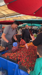 Vendor bags fresh strawberries at Alanya market