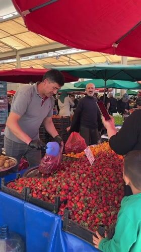 Vendor bags fresh strawberries at Alanya market