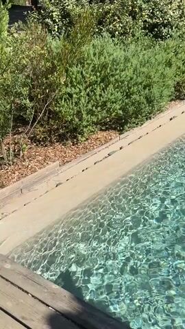 The video shows a swimming pool with clear turquoise water. Sunlight filters through trees, creating dappled light on the water and the wooden deck. There are lounge chairs and umbrellas set up around the pool, suggesting a resort or private villa setting. The edge of the pool has a light-colored coping and is surrounded by lush green bushes and trees. The camera pans across the pool and its surroundings, offering a peaceful and inviting view.
