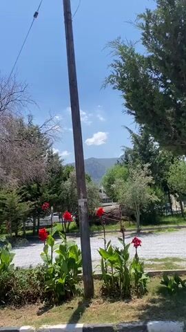 The video begins by showing a cluster of red flowers in a garden area with a wooden pole in the foreground and a barren tree in the background. The view then pans to a building with a yellow facade and lush green bushes. Next, the camera shifts to an outdoor scene with cars parked on a street lined with trees and overhead power lines. The video concludes with a close-up of an elaborately decorated entrance featuring a large wooden sculpture resembling a face, adorned with greenery, and the word "RAGE" in large golden letters.