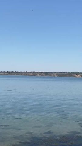 A wide shot captures a tranquil, clear blue sky above a vast, calm body of water. The water's surface is mostly smooth with gentle ripples, and in the foreground, submerged vegetation is visible through the translucent water. Across the expanse of water, a distant, elevated shoreline is lined with trees and some structures, appearing as a dark green and brown band against the horizon. The overall impression is one of a serene, natural landscape under a bright sky.
