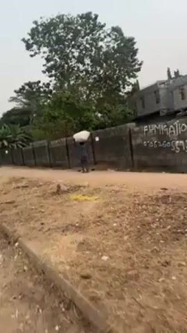 A person wearing a gray outfit is walking along a dirt path carrying a large white sack on their head. The person is walking alongside a gray brick wall with some graffiti on it. There are trees and shrubs behind the wall and sparse vegetation on the ground in front of the wall.