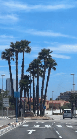 Roadside scene documented in coastal Spanish town Calp