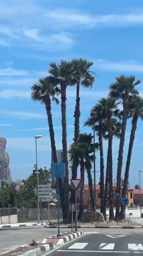 Roadside scene documented in coastal Spanish town Calp
