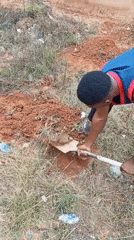 Morning scenes of digging, walking, dogs playing in Bukuru