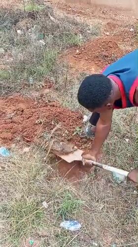 Morning scenes of digging, walking, dogs playing in Bukuru