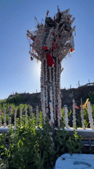 Shell-covered vertical structure observed in Burgas, Bulgaria