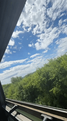 Train passenger captures rural countryside journey through car windows