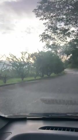 This is a first-person perspective video of a car driving on a paved road. The road appears to be wet, suggesting recent rain. The time of day is early morning or late evening, as indicated by the soft, diffused sunlight and cloudy sky. The road is lined with trees on both sides, and there are some rolling hills in the distance. A utility pole is visible on the left side of the road. The video focuses on the road ahead and the surrounding natural environment.