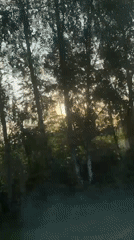 Moving vehicle captures sunrise through trees in Starozhilovo