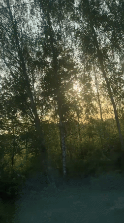 Moving vehicle captures sunrise through trees in Starozhilovo