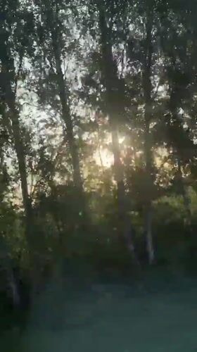 Moving vehicle captures sunrise through trees in Starozhilovo