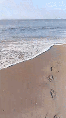 Calm beach moment on the Kenyan coast, multiple angles