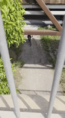 Cyclist rides dirt path in Sagunto, Spain