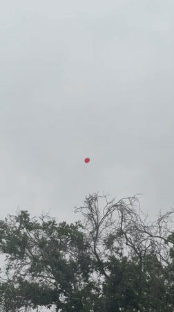 Red balloon spotted floating above Tashkent tree amid children's voices