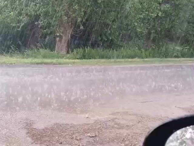The video shows a road during a rain shower. Raindrops are visible falling on the wet surface of the road, creating ripples. The road appears to be unpaved or made of gravel in the foreground, transitioning to what looks like asphalt or a similar smooth surface further ahead. On either side of the road, there is lush green vegetation, including grass and trees. The trees are dense with foliage, indicating a summer or warm season. In the background, behind the trees, a dark fence or railing is partially visible. The perspective suggests the video is being filmed from a stationary vehicle, possibly from the driver's side, as a portion of a black side-view mirror is visible in the bottom right corner of the frame. The weather is overcast, typical for rainy conditions, with diffused light. There are no people or animals visible in the frame. The overall scene depicts a natural environment experiencing moderate rainfall.