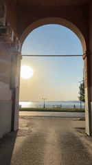 Quiet afternoon documented in Votkinsk with dog, riverside views
