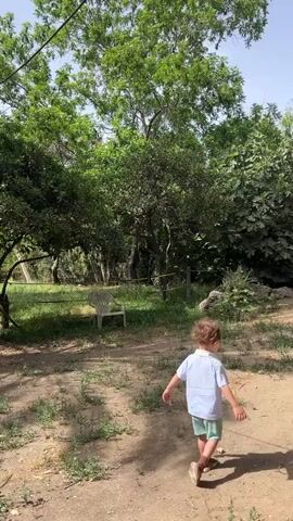 A toddler is walking on a dirt path in a park-like setting. The child is wearing a light blue button-down shirt, green shorts, and brown shoes. They are walking away from the camera and then turn to look to their left. Behind the child is green foliage, a couple of trees, a gray plastic chair, and some rocks. The ground is a mixture of dirt, small patches of grass, and some small weeds. The sky is visible above the trees and is light blue.