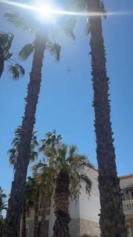 The video shows an outdoor scene dominated by tall palm trees against a bright blue sky. A commercial airplane is visible flying in the distance, silhouetted against the sky. The sun is shining brightly, creating lens flare at the top of the frame. In the background, a building with white walls and balconies can be seen between the palm trees. The video is a static shot with no discernible movement or action other than the flight of the airplane.