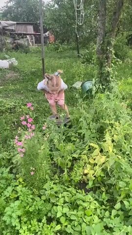 This media file shows a young, fair-haired child with two pigtails, wearing a white t-shirt and pink shorts, crouched in a garden. The child is surrounded by lush green foliage, with pink and yellow flowers visible. The child appears to be examining or picking something from a plant. The background suggests a rural or suburban setting with trees, grass, and what looks like a shed or outbuilding. The lighting indicates it is daytime, likely afternoon, with soft, natural light, suggesting overcast or partly cloudy weather. The child's posture and focus suggest curiosity and engagement with the garden. The overall impression is a peaceful, everyday moment of a child exploring nature in a garden.