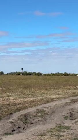 The video shows a wide shot of a rural landscape under a partly cloudy blue sky. In the foreground, a dirt road or path is visible, appearing somewhat rutted. The middle ground is a field of dry, golden-brown grass. In the background, a treeline with some scattered buildings and a tall, dark water tower are visible on the horizon. The scene appears to be a still, natural environment.
