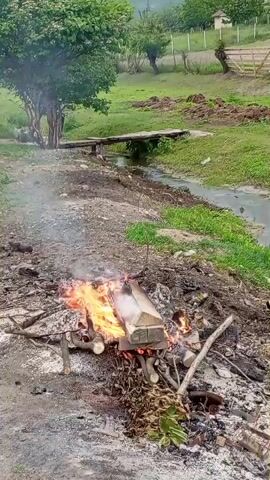 The video presents an outdoor scene in a rural or semi-rural setting under an overcast sky. In the immediate foreground, a bonfire burns on a dirt path, consuming a wooden structure amidst smaller pieces of wood and leaves. White ash is scattered around the fire, and smoke rises.

As the camera pans slightly to the left, a narrow stream with a rudimentary wooden bridge is visible in the mid-ground, flowing through green grassy areas. Beyond the stream, more trees and open fields with earth mounds can be seen. On the left side of the frame, next to the path and grass, stands a dark, shed-like structure, possibly an outhouse or storage shed, constructed from dark material like corrugated metal or painted wood.

At the 0:03 mark, a person wearing a blue shirt and light-colored pants emerges from behind a tree near the shed, walking from left to right across the grassy area in the background. They are carrying a white bag or object in their left hand. The scene evokes a tranquil countryside atmosphere. There is no visible text.