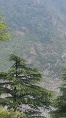 Misty mountain landscapes captured in Bhagsu, India