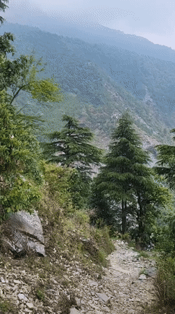 Misty mountain landscapes captured in Bhagsu, India