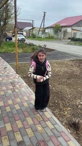 Daily life moments captured across Taman, Russia morning hours