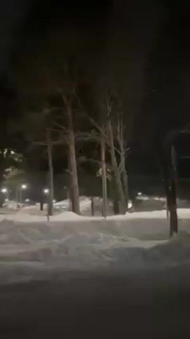 The video shows a nighttime scene in a snowy area.  A row of bare trees stands along a street with a large amount of snow piled up on the side. Streetlights illuminate the area, and there's a chain-link fence visible in the background. The camera appears to be moving, possibly from inside a vehicle.