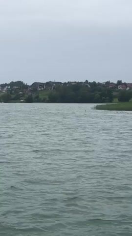 The video shows a view across a body of water with gentle ripples. In the background, a tree-lined shore is visible, with a cluster of houses and buildings nestled amongst the trees on a gentle slope. The sky above is overcast and a uniform gray. The camera appears to be relatively stationary, providing a consistent viewpoint of the scene.
