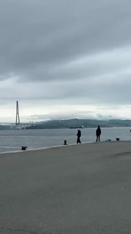 The video shows a wide shot of a waterfront with two people fishing. A large suspension bridge is visible in the distance, spanning across a body of water. The sky is overcast with gray clouds. The foreground consists of an asphalt surface, likely a pier or a harbor. One person is crouched down near the water's edge, appearing to be actively fishing. The second person stands further away, also holding a fishing rod. There are several mooring posts along the edge of the waterfront. The overall scene is calm and suggests a quiet day of fishing.