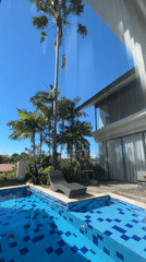 Palm tree climb and perched owls at a Bali villa