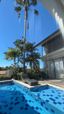 Palm tree climb and perched owls at a Bali villa