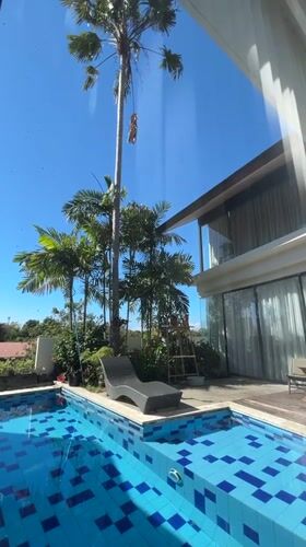 Palm tree climb and perched owls at a Bali villa